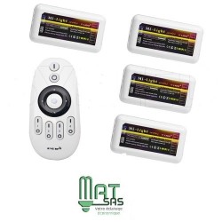 Kit de 4 controleurs Mono couleur avec sa Télécommande Radio